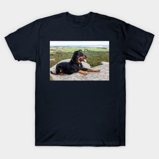 Beauceron Dog T-Shirt